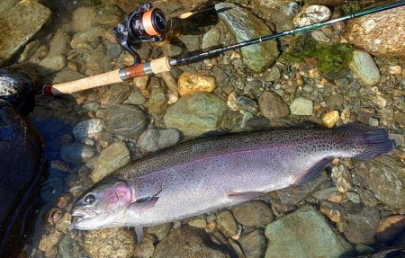 やられた ～天竜川ルアーフライテンカラ専用区～